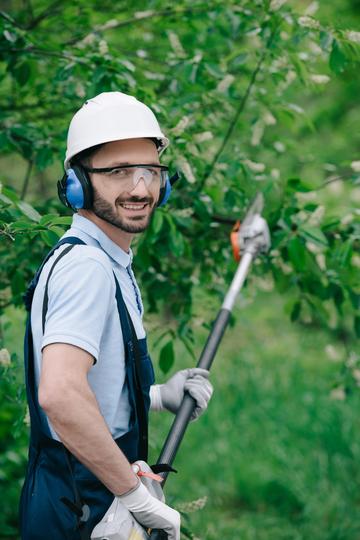#1 web-design-agency for  tree care firms