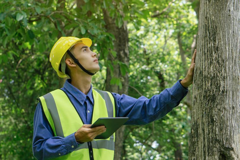 top digital-marketing for  tree care contractor
